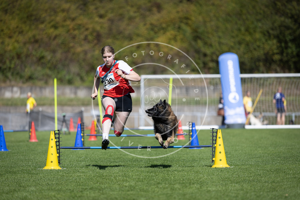 Pfotenfotografie_DV3A5681 | Hundefotografie, Tierfotograf, Pfotenfotografie, Fotoshooting Hund, Hunde Portrait, Hundesport, Hundeportraits, Heideshooting, Hunde, Sportfotograf, Hundefotograf, Turnierhundsport, THS,  - Realisiert mit Pictrs.com