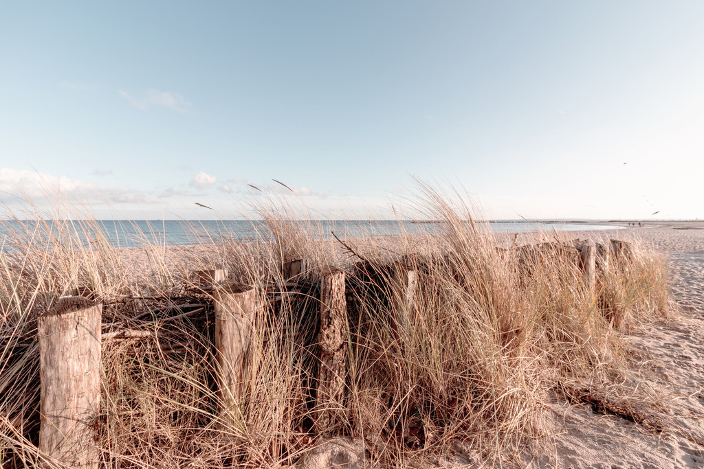 Wandbild: Strandhafer am Sandstrand | Das Wandbild im Querformat zeigt Strandhafer am Sandstrand. Der Strandhafer wächst zwischen einem Sandfang. Auf dem Meer sind einige Wellen zu sehen. Holen Sie sich mit diesem dekorativen Wandbild den Strandurlaub für das ganze Jahr nach Hause oder an den Arbeitsplatz. Es ist auf Leinwand, auf Alu-Dibond, Acrylglas oder als Holzdruck erhältlich. Dabei wird es individuell für Sie in vielen Abmessungen produziert. Auf diese Weise passen die Ostseekult Wandbilder immer perfekt an Ihre Wände.  - Realisiert mit Pictrs.com