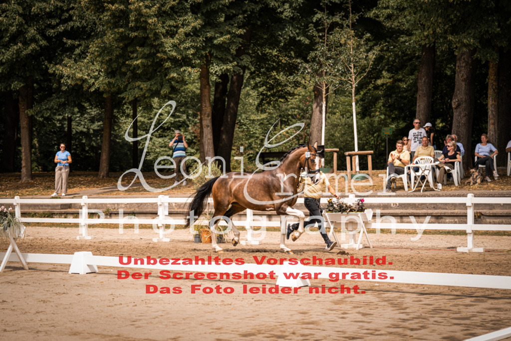 3.Fr00208 | Leoni Ertmer Photography - Realisiert mit Pictrs.com