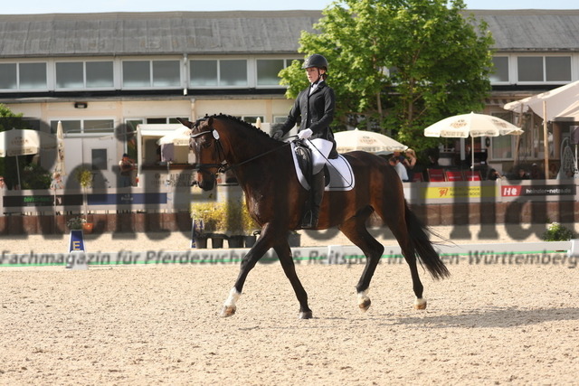 Winterlingen_2023_Prfg.Nr.22_Dressur_Kl.S_Nachwuchs-Tour_Natalie Bitzer_Carinio 20 (4) | Alle Fotos der Reiterjournal Fotografin Doris Matthaes im Reiterjournal Online-Fotoshop. - Realisiert mit Pictrs.com