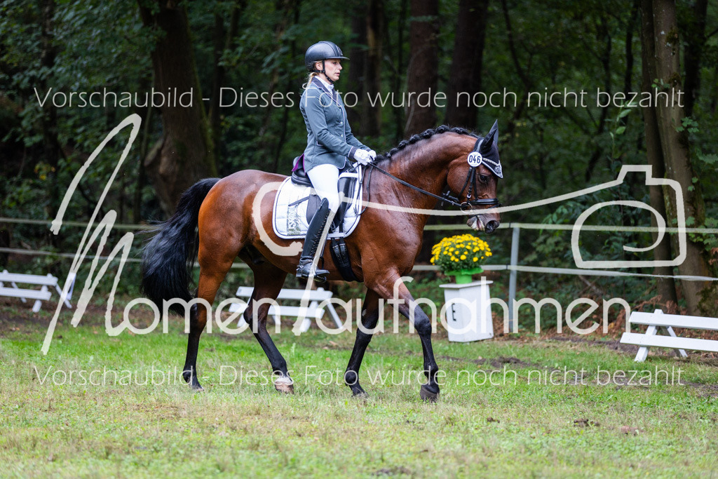 HB-A-Dressur-096 | MomenTaufnahmen Pferdesportfotos