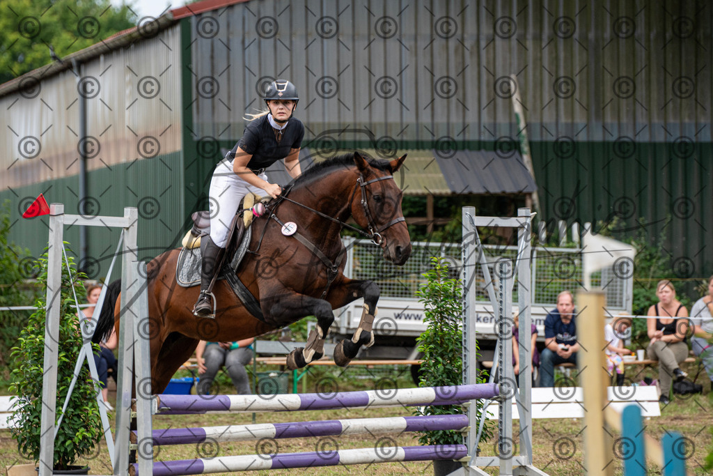 SHT_7593 | andre_photographic