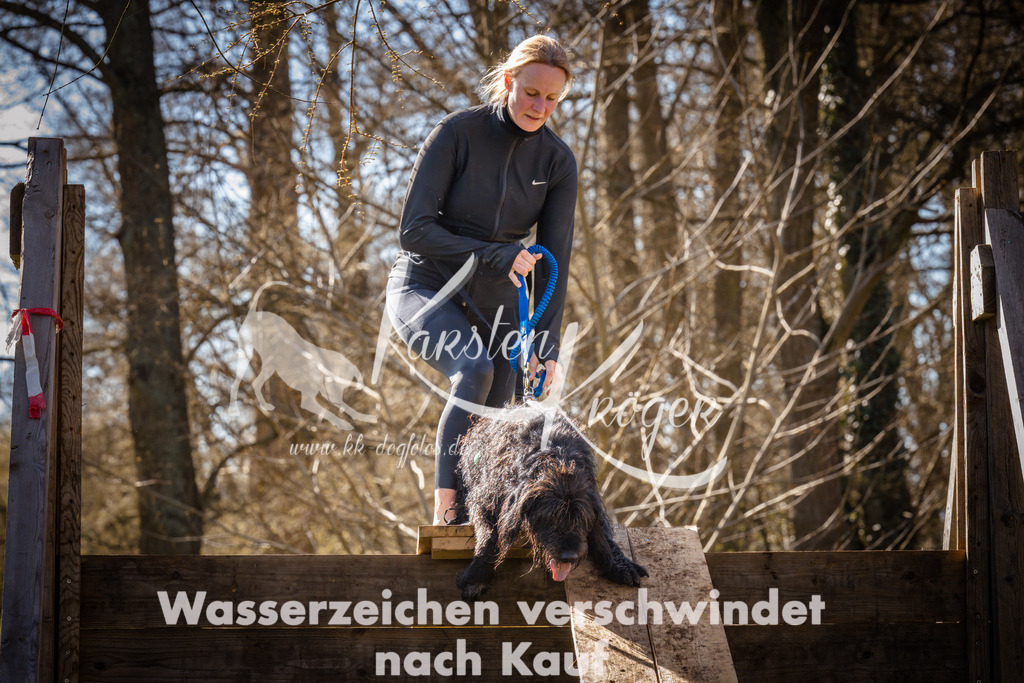 0930_ZZ95940 | kk-dogfotos