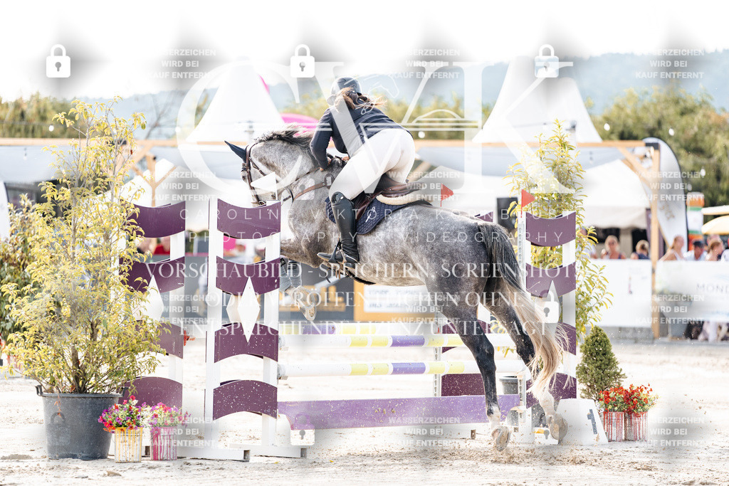 CK906219 | Turnierfotografie Pferdefotografie Trier Rheinland-Pfalz Pferdesport Reitsport Tierfotografie Sportfotografie Pferdevideo Pferdevideografie Equestrianvideography equestrianphotography  - Realisiert mit Pictrs.com