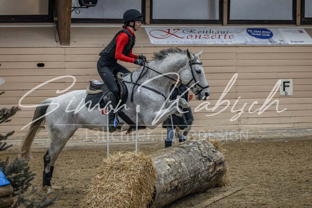 20260222-_3LI1024 | Tierfotografie Pferde, Hunde, Katzen, Haustiere.
Turnierfotografie Reitturniere, Reiten, Springreiten, Dressur in Hanau, dem Main-Kinzig-Kreis und dem Rhein-Main- Gebiet um Frankfurt