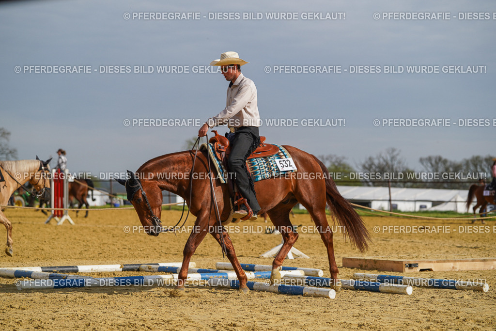 DSC01596 | Pferdegrafie