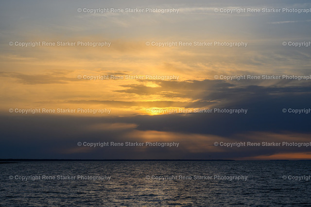 NZ6_8954 | Hochzeiten, Familien, Paare, Portraits, Kinder, Shooting, Bad-Neuenahr, Ahrweiler, Bonn, Meckenheim, Fotograf, Grafschaft - Realisiert mit Pictrs.com