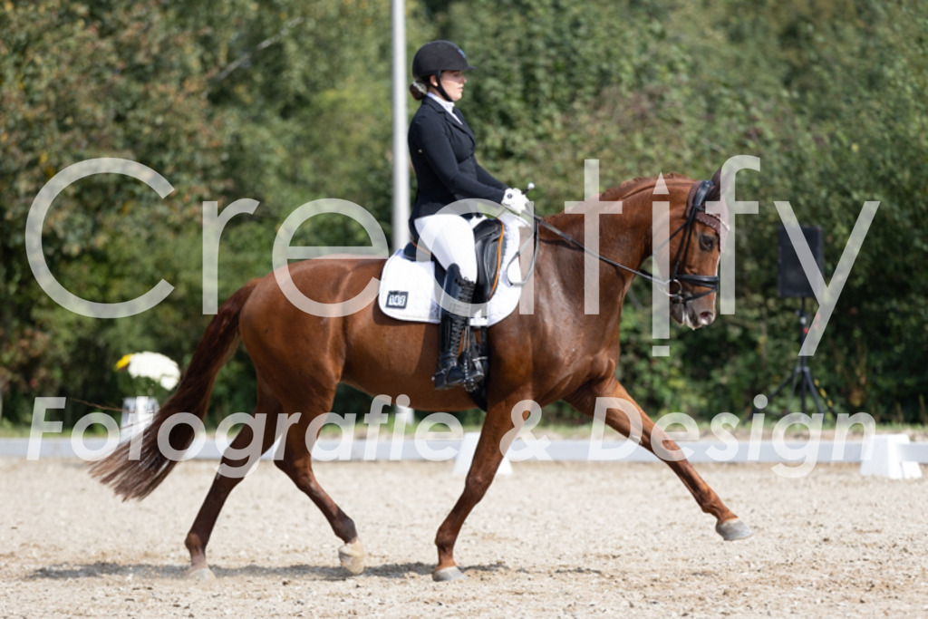 IMG_3412 | Creatify Fotografie