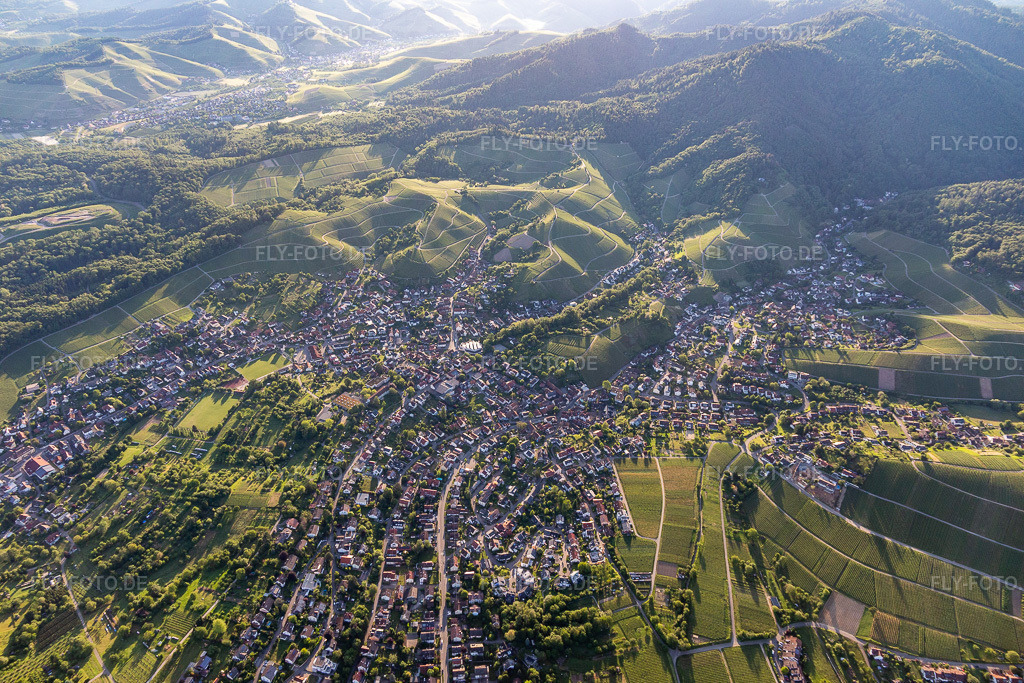Luftbild: der von Weinbergen umgebenen Tallandschaft in Zell-Weierbach im Ortsteil Zell in Offenburg im Bundesland Baden-Württemberg in Deutschland. Foto: IMG_114949.jpg vom 01.06.2019 durch Werner Riehm/FLY-FOTO.de