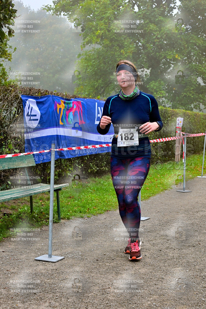 Z8N_2307 | la-psv - Realisiert mit Pictrs.com