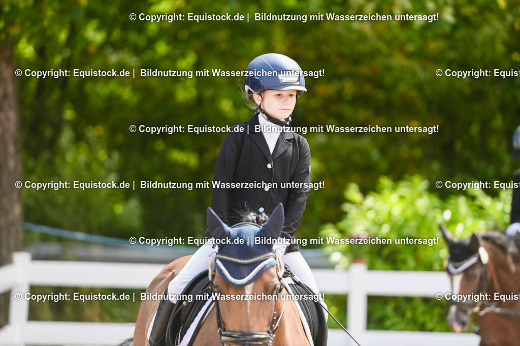 20230716_10-3_Reiter-WB Schritt - Trab - Galopp_0003 | equistock