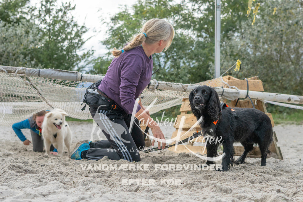 1137_ZZ98404 | kk-dogfotos