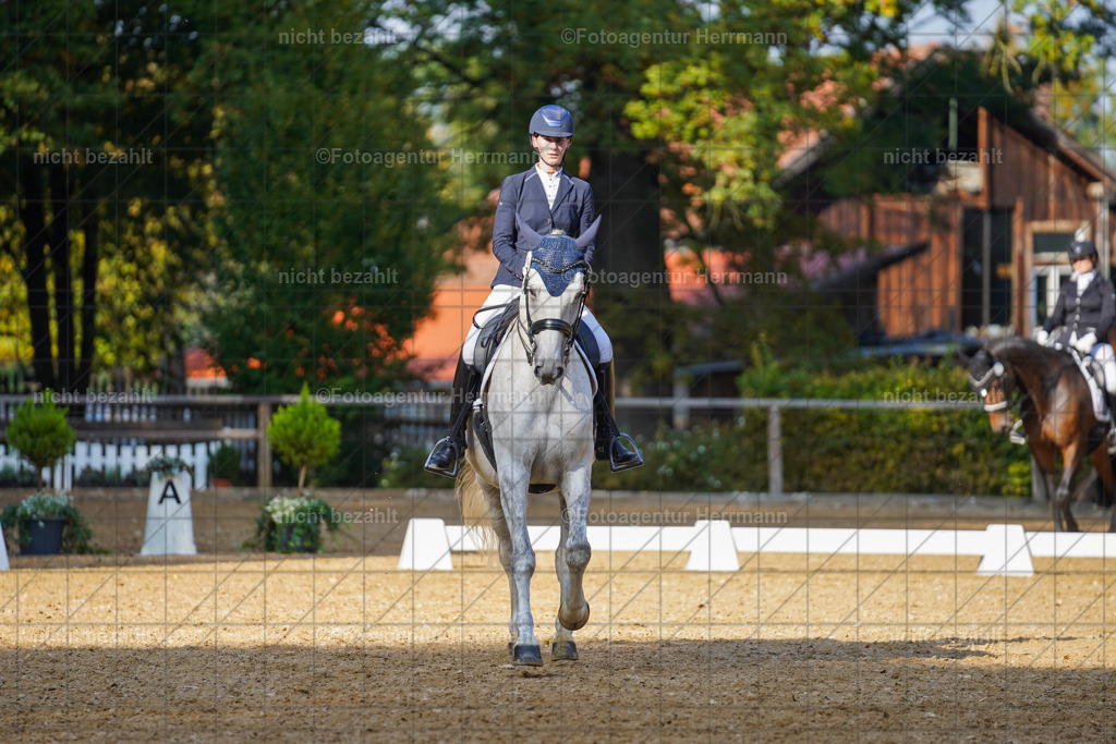 20221007-FAH00075 | Diessen am Ammersee, 2022, Dressur- und Springturnier, Reitsportbilder, Turnierfotografen Bayern, Pferdefotografen, Fotoagentur Herrmann, Turnierbilder