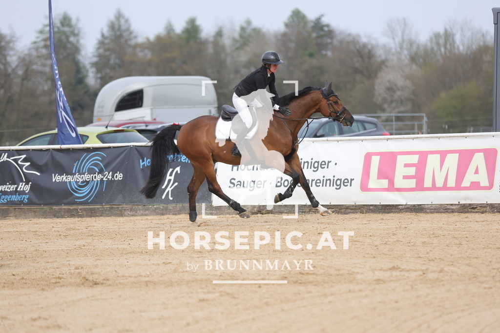 0P6A7519 | Willkommen bei Brunnmayr - Design & Fotografie – Ihrem Spezialisten für Reitturniere und Pferdeveranstaltungen in Oberösterreich, Salzburg und Bayern! Seit über 17 Jahren sind wir leidenschaftlich dabei.