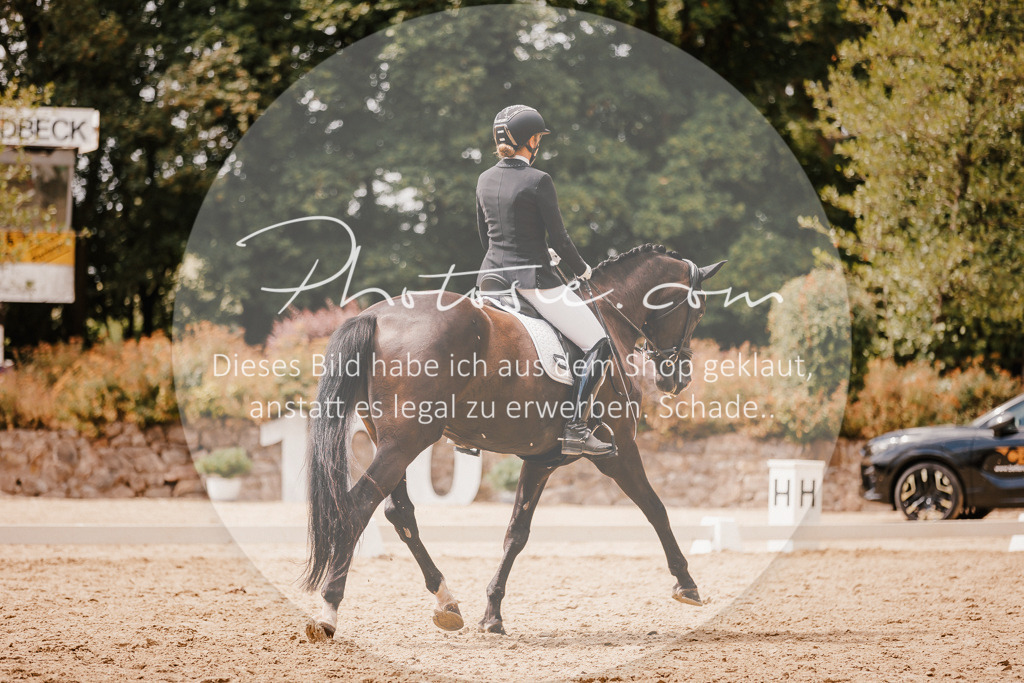 3I6A6311 | Stimmungsvolle Portraits und Reitsportfotografie im Ruhrgebiet und im Münsterland.

Pferdefotografie, Hundefotografie, Tierfotografie, Reportagen, Portraits von Tier und Mensch, Turnierfotografie in Bochum, Recklinghausen, Marl, Haltern am See, Dülmen.. - Realisiert mit Pictrs.com