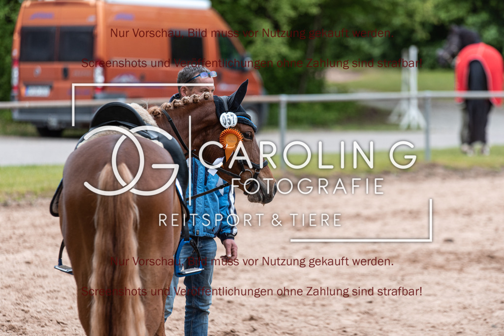 DSC_7144 | Turnierfotografin Carolin Gieschke,Reitsport Turnierfotografie Carolin G Fotografie | Turnierfotos aus Kirchheim/Teck, Esslingen, Stuttgart und dem Bodenseekreis