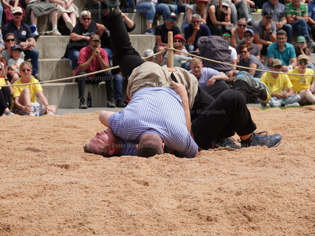 DSC07450 | Schwingen - Realisiert mit Pictrs.com
