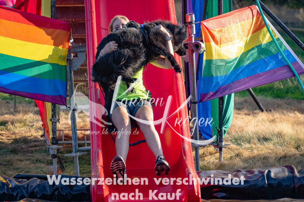 1754_ZZ92910 | kk-dogfotos