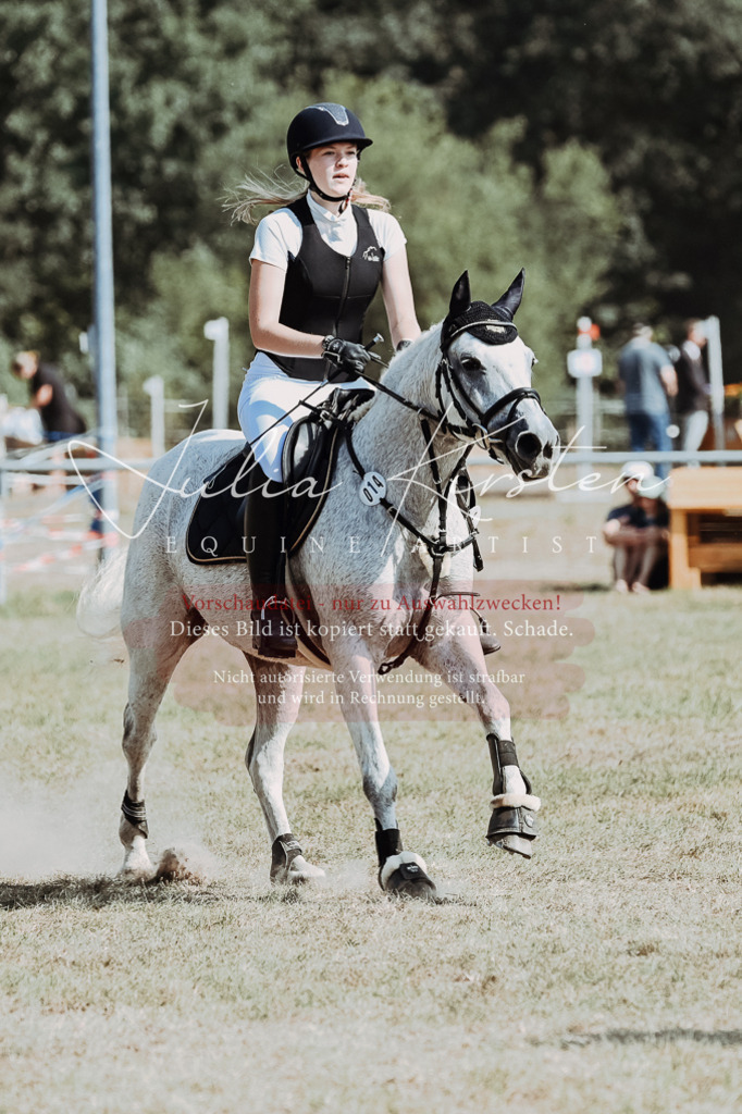 DSC_9442 | Pferde- und Turnierfotografie in Westsachsen. Pferdeportraits, Auftragszeichnungen und intuitive Kunst.