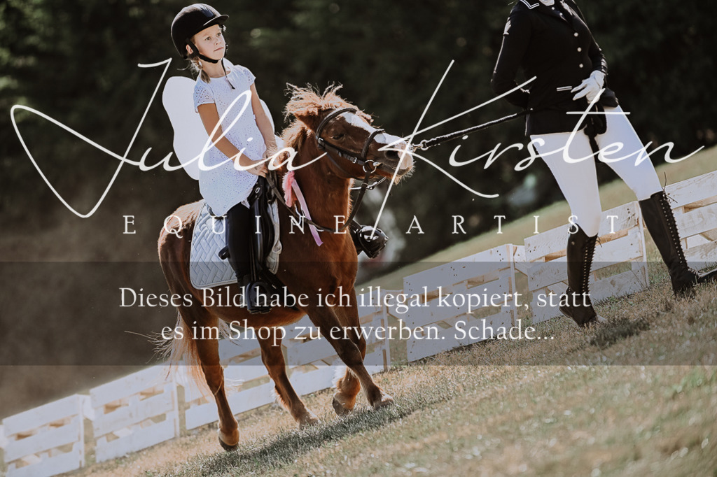 DSC_8916 | Pferde- und Turnierfotografie in Westsachsen. Pferdeportraits, Auftragszeichnungen und intuitive Kunst.