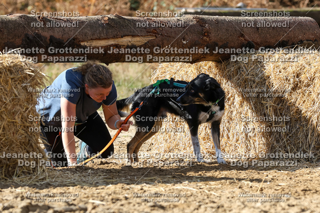 Dog Paparazzi - Strongdog 10-25-4909 | Dog Paparazzi Jeanette Grottendiek Fotografie & Videografie - Realisiert mit Pictrs.com