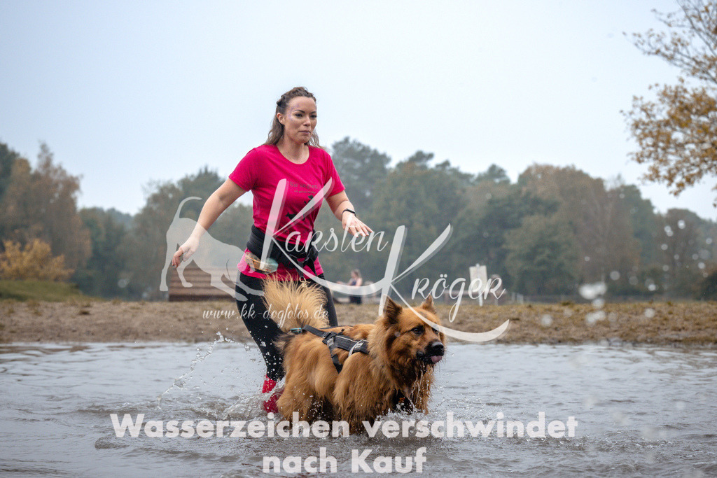 1025_ZZ99560 | kk-dogfotos