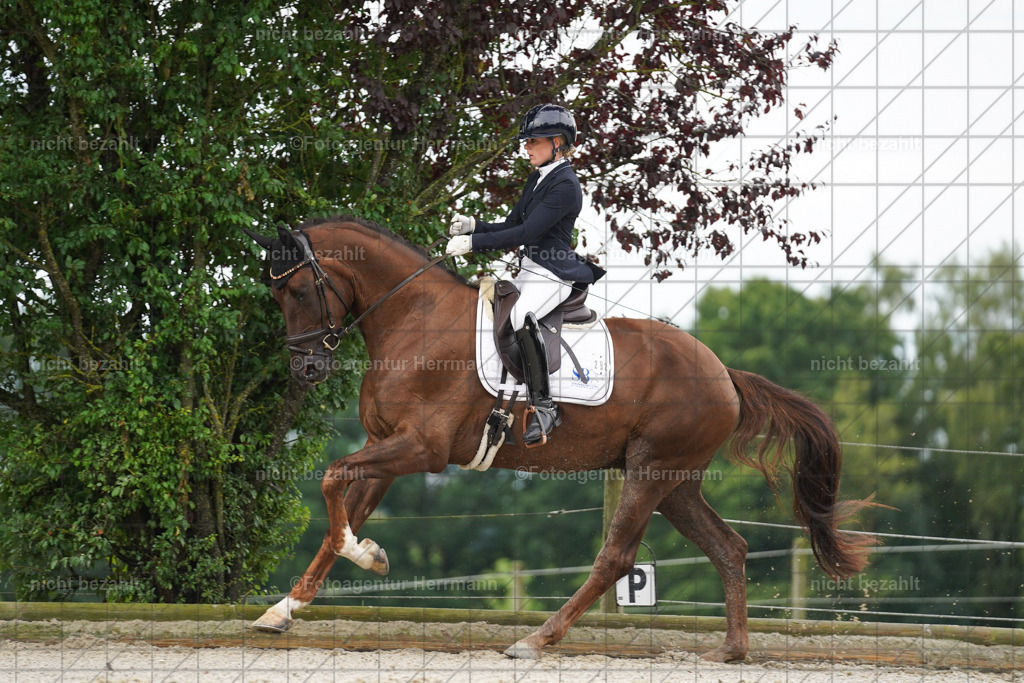 20230826-FAH04350 | Forstinning, 2023, Dressurturnier, Turniersportbilder, Turnierfotografen Bayern, Fotoagentur Herrmann, Reitsportfotografie, Turnierbilder