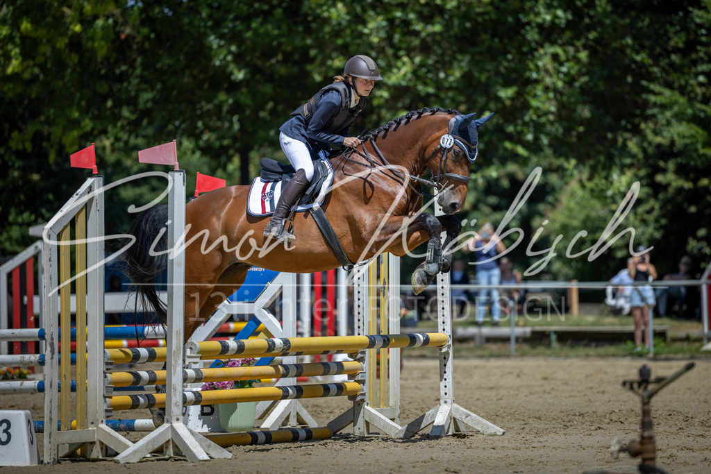 20260704-_3LI8392 | Tierfotografie Pferde, Hunde, Katzen, Haustiere.
Turnierfotografie Reitturniere, Reiten, Springreiten, Dressur in Hanau, dem Main-Kinzig-Kreis und dem Rhein-Main- Gebiet um Frankfurt