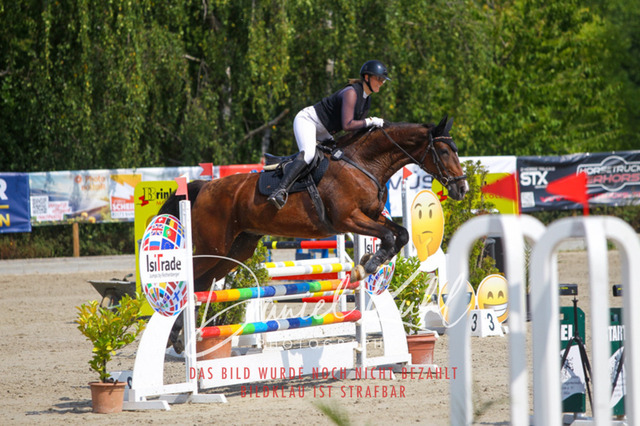 Gut Blee25_Amateuer Stilsprpfg Kl A_0353 | Turniersportfotografie; Pferdefotografie; Dressurfotografie