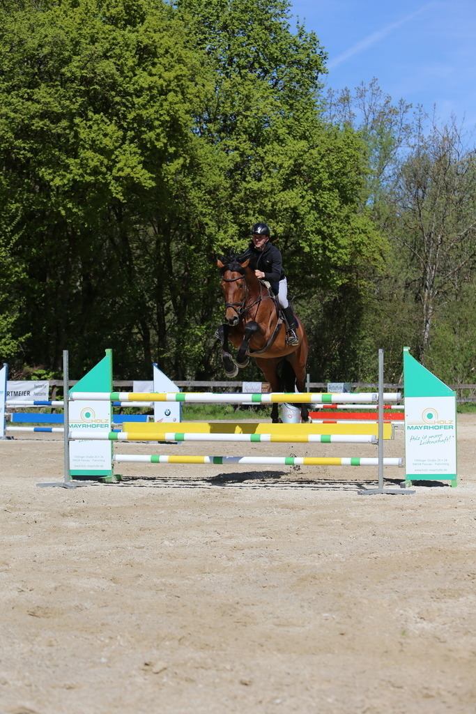 DL2Q3154 | Willkommen bei Brunnmayr - Design & Fotografie – Ihrem Spezialisten für Reitturniere und Pferdeveranstaltungen in Oberösterreich, Salzburg und Bayern! Seit über 17 Jahren sind wir leidenschaftlich dabei.