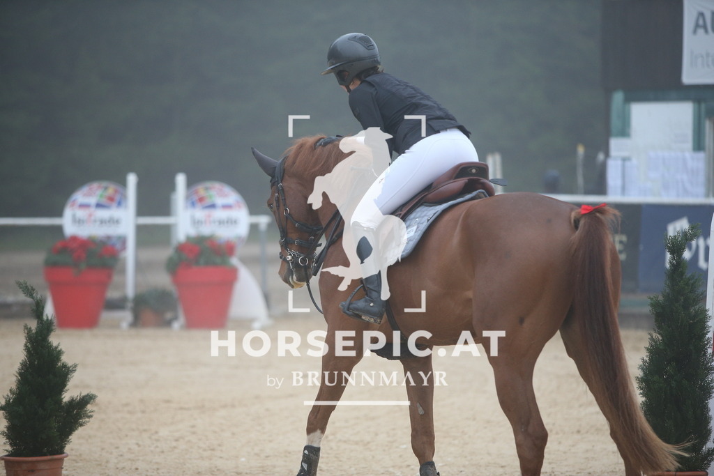 PP012413 | Willkommen bei Brunnmayr - Design & Fotografie – Ihrem Spezialisten für Reitturniere und Pferdeveranstaltungen in Oberösterreich, Salzburg und Bayern! Seit über 17 Jahren sind wir leidenschaftlich dabei.