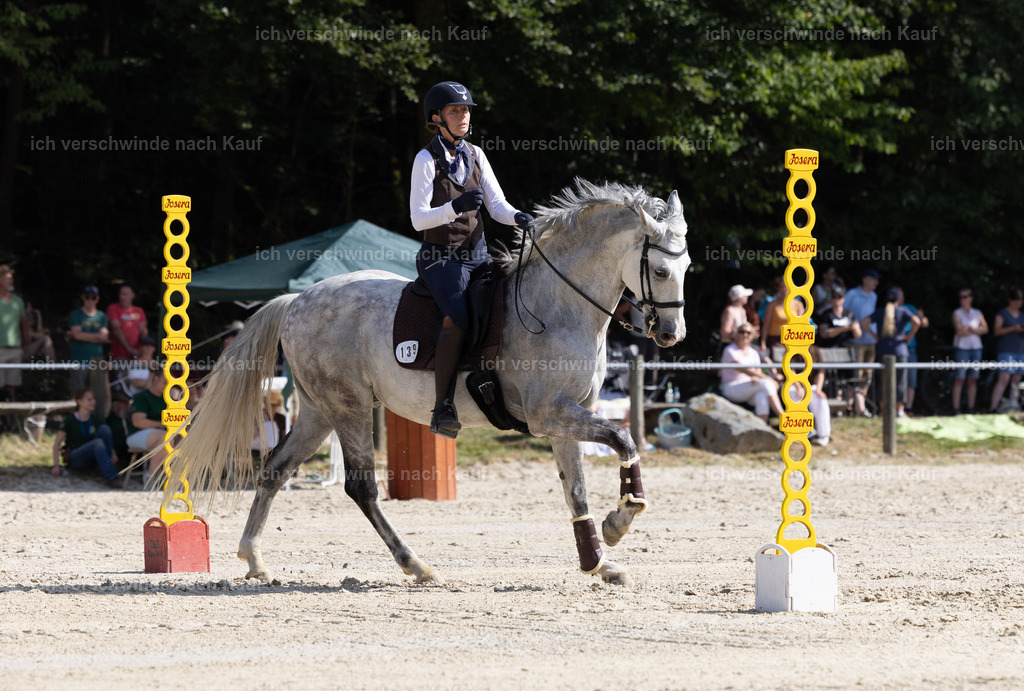 WS_SPEED_139_KerstinBernhardt-8 | working equitationturnier fotograf videograf stoibphotography marixx film working equitation deutschland reitsport turnierfotografie eventfotografie equestrian events