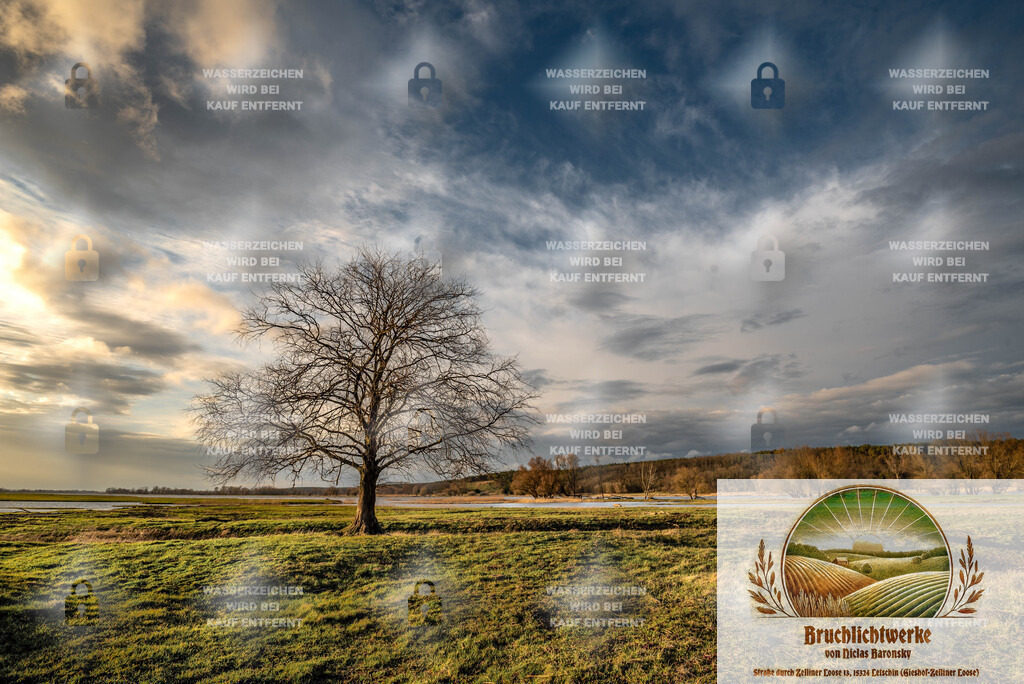 Oderbruchstimmung | Professioneller Fotograf mit 10 Jahren Erfahrung. Landschafts- und Hochzeitsfotografie im Oderbruch. Workshops und beeindruckende Bilder für besondere Momente.