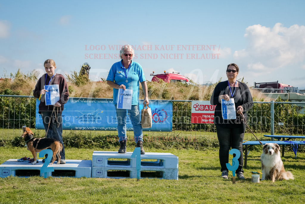 20250928_Hunderennen-751 | MuT (Mensch und Tier) mit Mona - Fotografie und Tierkommunikation - Realisiert mit Pictrs.com
