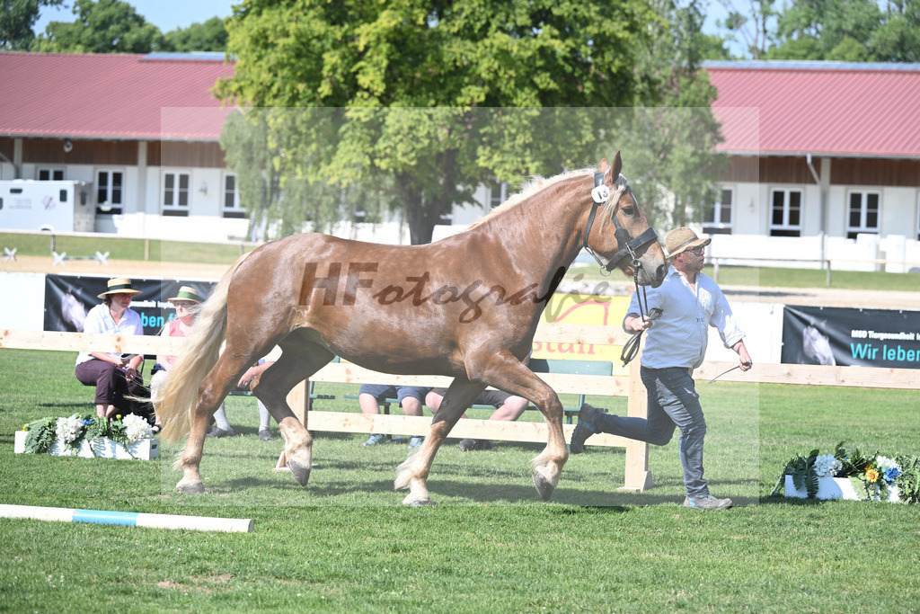Kat-Nr. 13 Ida_Weiderer_20230201 | hf-fotografie - Realisiert mit Pictrs.com