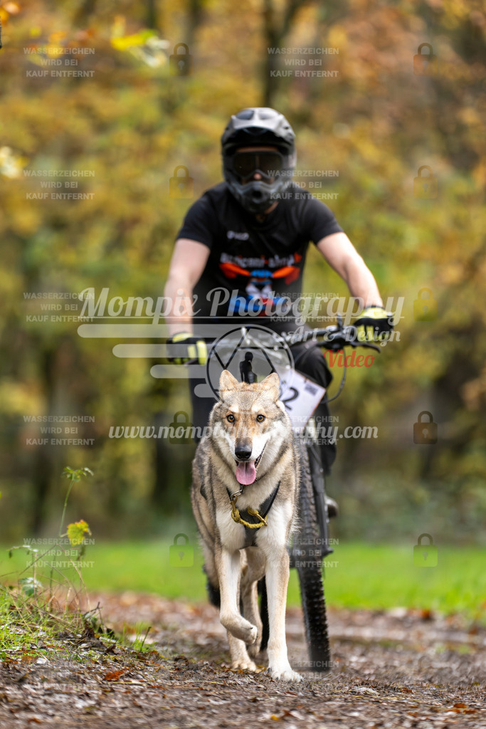 MompixPhotography_Bischwiller23_Bike-51 | mompixphotography