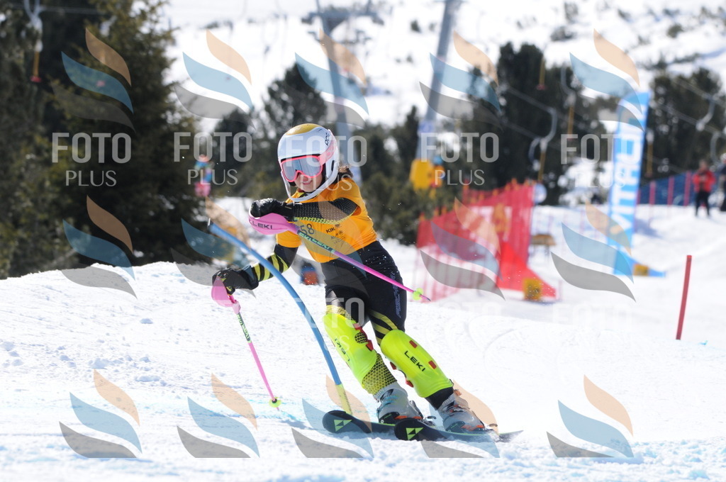 C8896 | holidayphoto