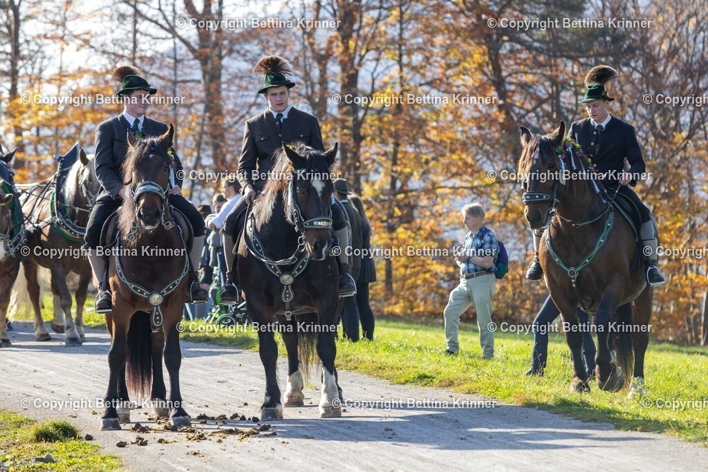 LBT24-1324 | foto-bettina-krinner - Realisiert mit Pictrs.com