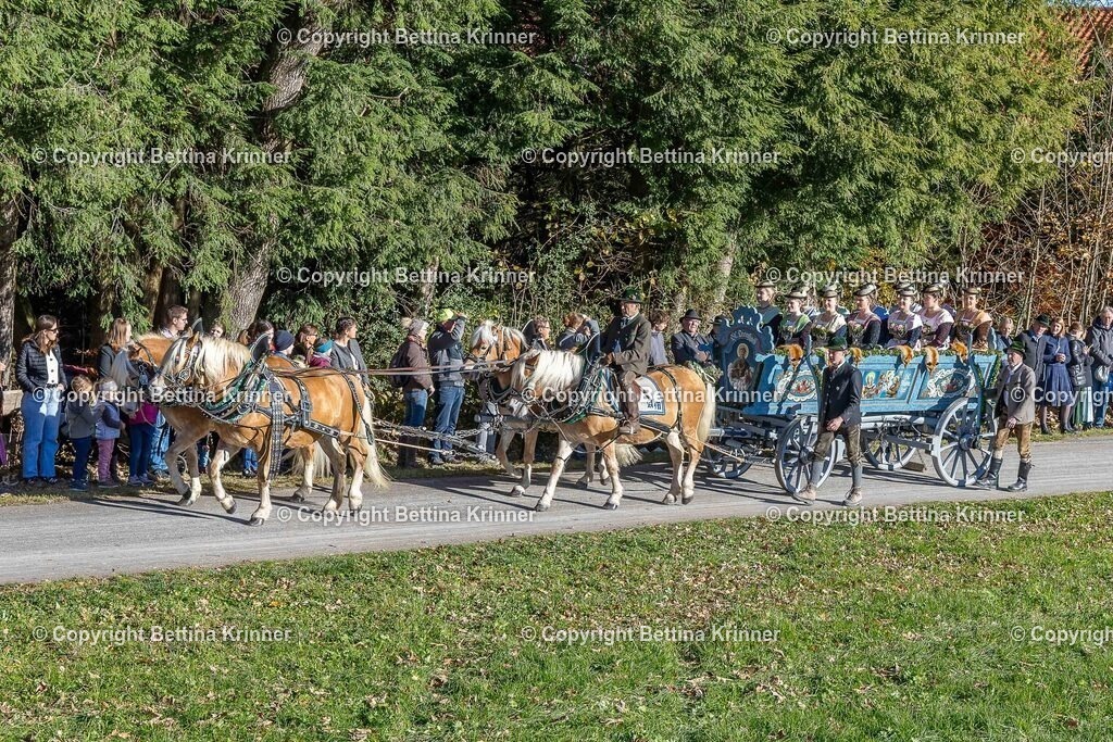 LBT25-377 | foto-bettina-krinner - Realisiert mit Pictrs.com