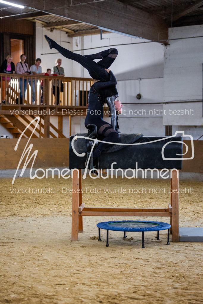 Holzpferd-028 | MomenTaufnahmen Pferdesportfotos