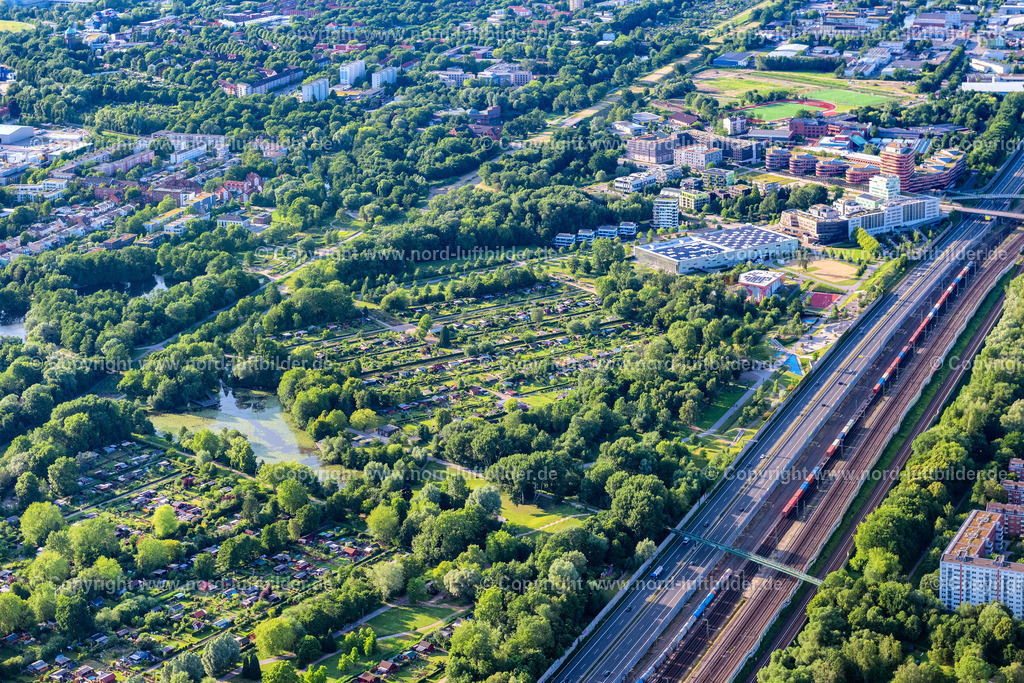Hamburg_Wilhelmsburg_Inselpark_ELS_7827160625 | HAMBURG 16.06.2025 Parkanlage des Kleingartenvereins Grüne Freiheit im Wilhelmsburger Inselpark in Hamburg. // Park of the Kleingartenverein Gruene Freiheit in the Wilhelmsburger Inselpark in Hamburg. Foto: Martin Elsen