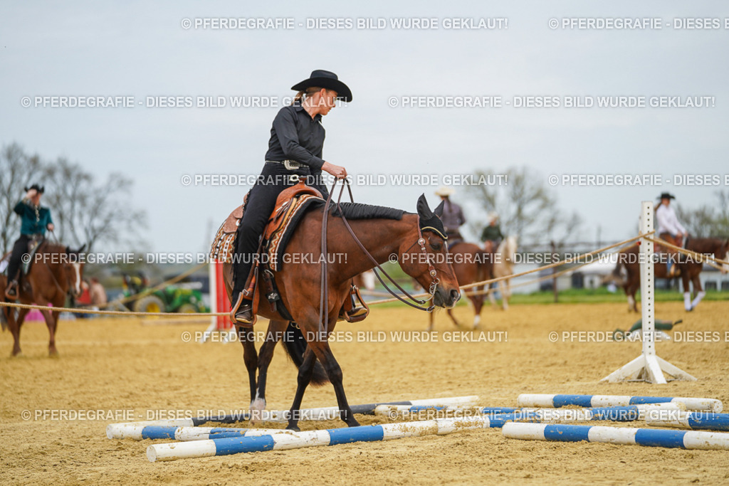 DSC02961 | Pferdegrafie