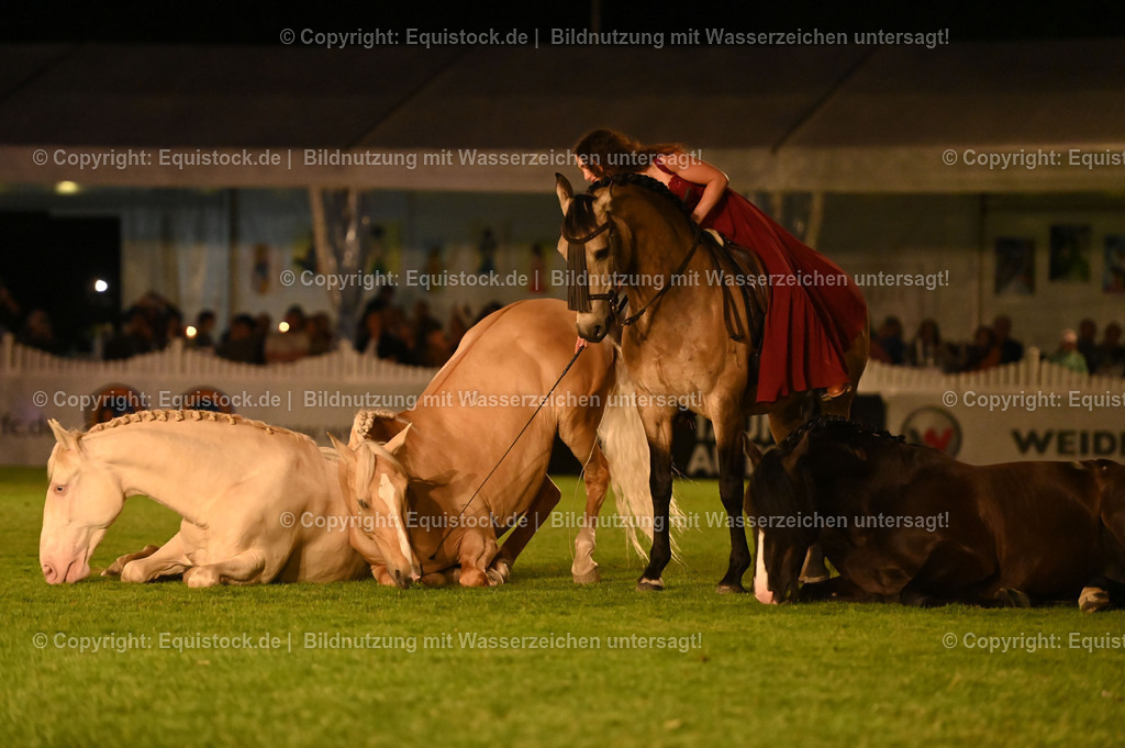 20230526_Pferdenacht_1526 | equistock