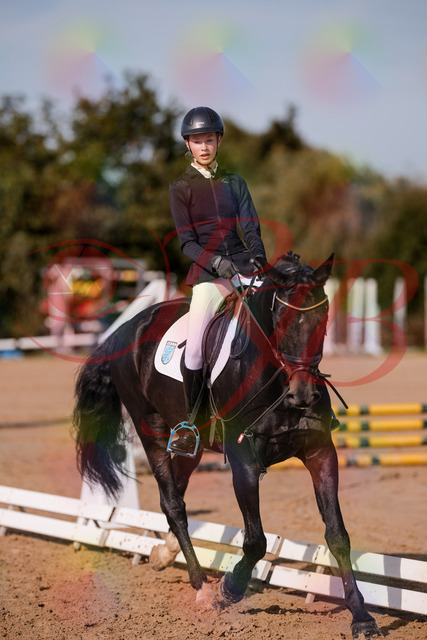2026_10_03_Siefer-Hof_115732_Z81_98131955 | Professionelle Reitsport-, Turnier- und Eventfotografie von Robert Broda. Galerien mit ausgewählten und bearbeiteten Bildern direkt online ansehen und bestellen.