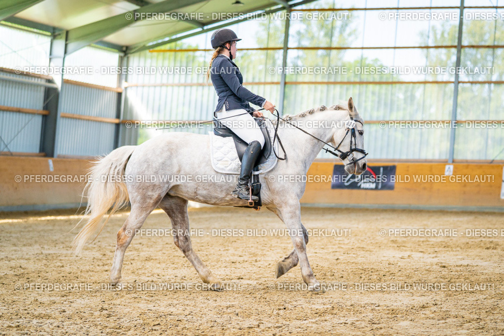 DSC06995 | Pferdegrafie