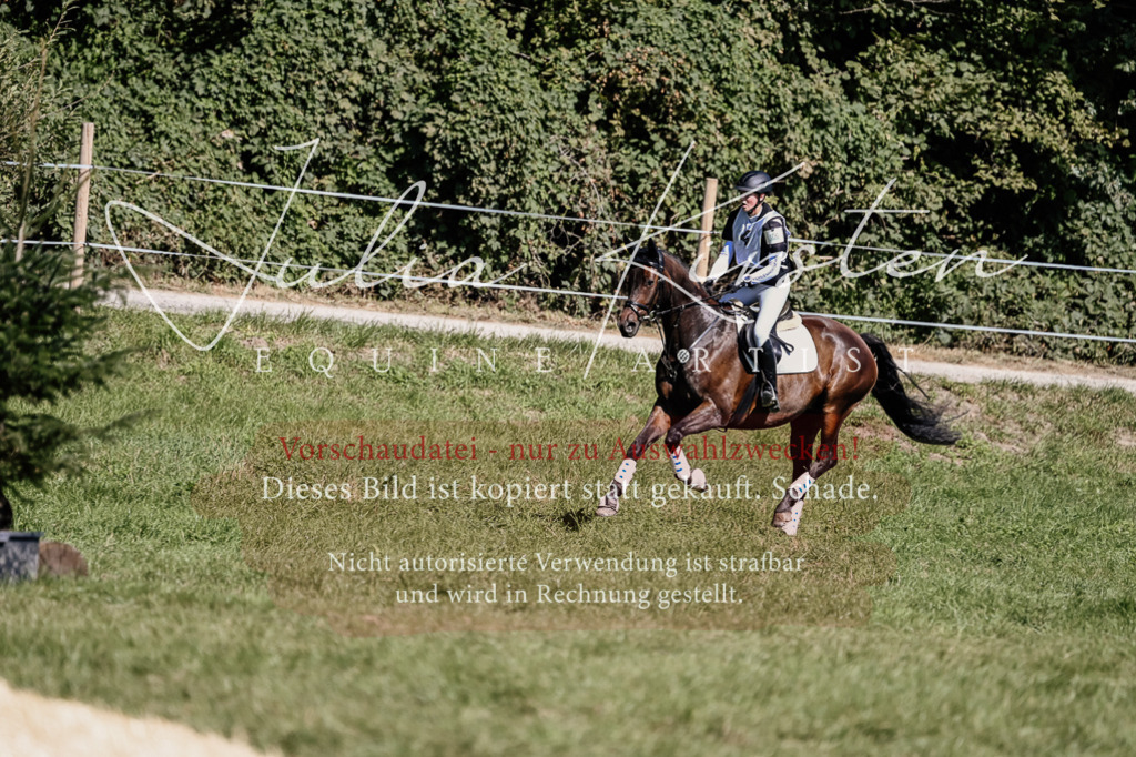 DSC_1441 | Pferde- und Turnierfotografie in Westsachsen. Pferdeportraits, Auftragszeichnungen und intuitive Kunst.