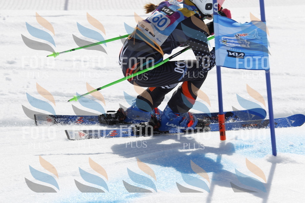 _U3G1395 | holidayphoto