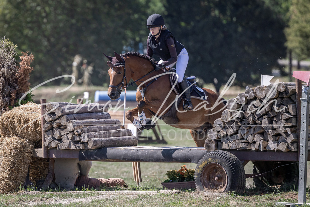 20260906-_3LI4305 | Tierfotografie Pferde, Hunde, Katzen, Haustiere.
Turnierfotografie Reitturniere, Reiten, Springreiten, Dressur in Hanau, dem Main-Kinzig-Kreis und dem Rhein-Main- Gebiet um Frankfurt