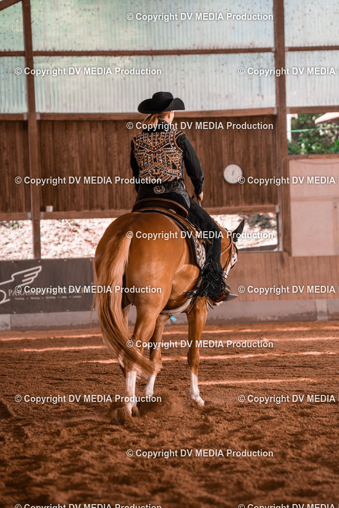 NE100361 | dv-media-shop - Realisiert mit Pictrs.com