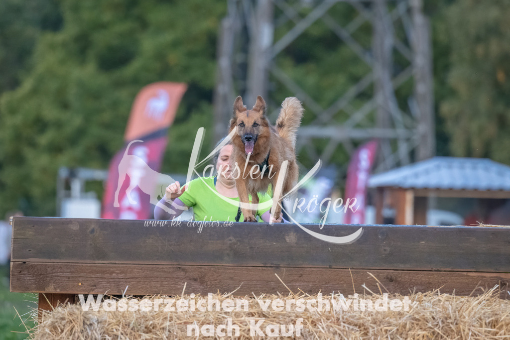 0805_ZZ94261-Bearbeitet | kk-dogfotos